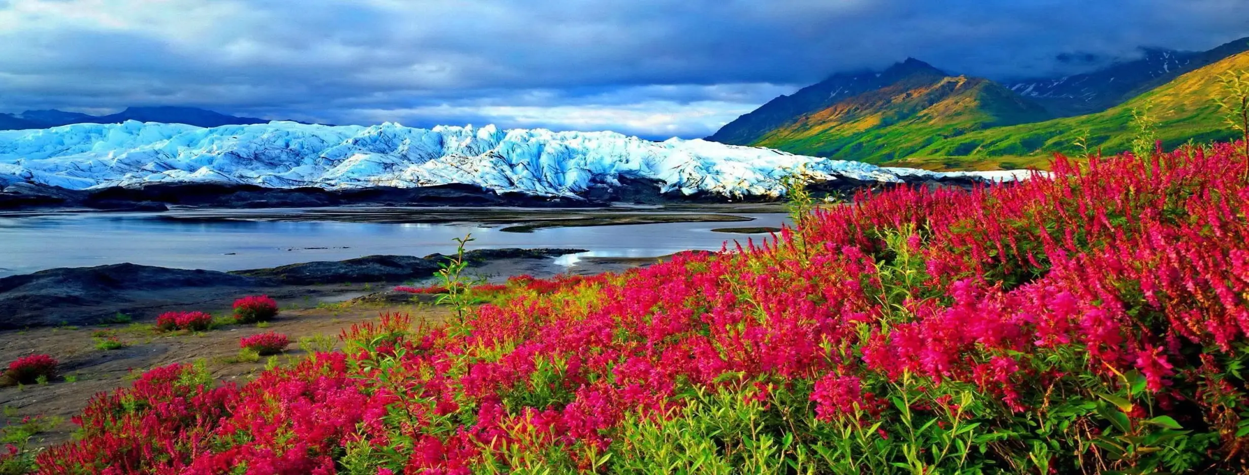 Image for Distinct Seasons